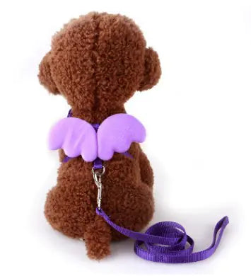 Pet Wing Leash Collar for Dogs and Cats